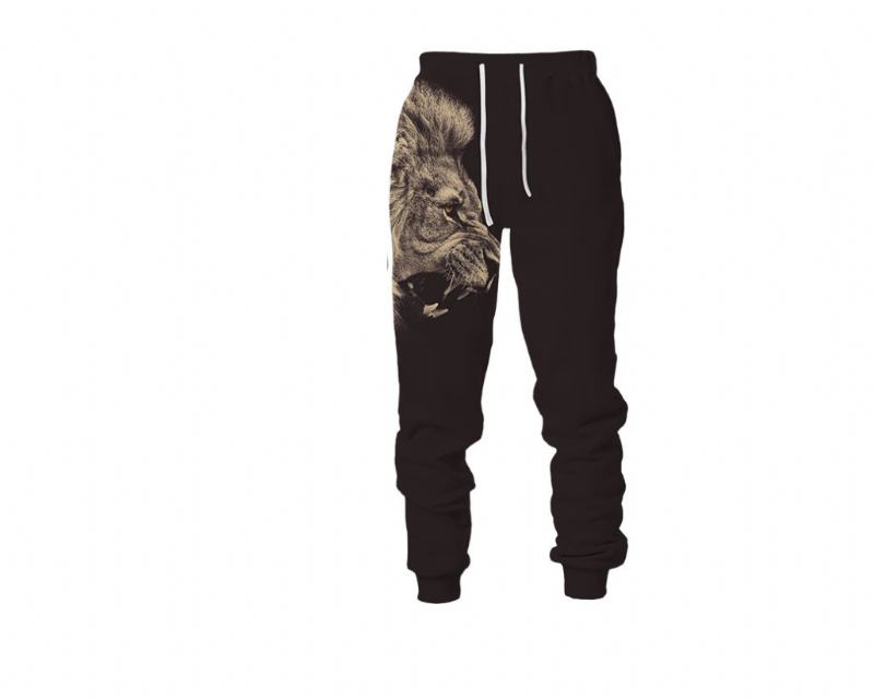 3d Digital Med Tryck Animal Lion Sweatshirt Sweatpants