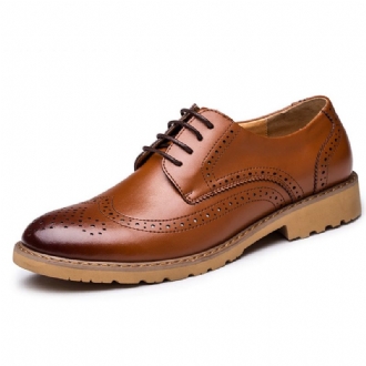 Brogue Carved Business Casual Oxfords I Äkta Läder